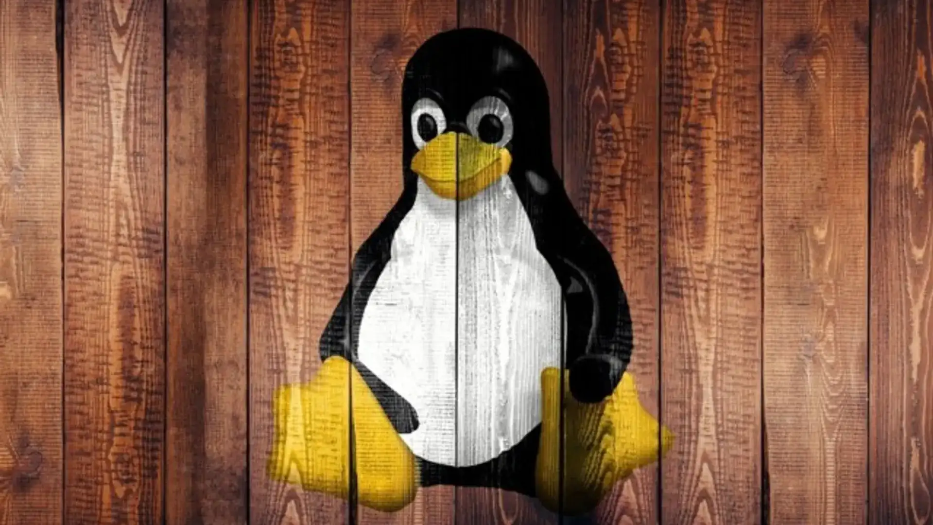 Por que Linus Torvalds ainda usa uma GPU de 8 anos em seu setup?